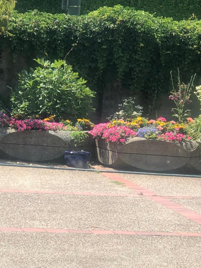 Vancouver Shaughnessy Guest Home 외부 사진
